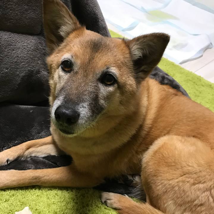 Bdfb46e4 3f17 4fd0 8f4f 35f805e95475