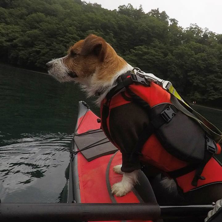 Bdfb491e c206 4397 87f4 30b97ffbbafe