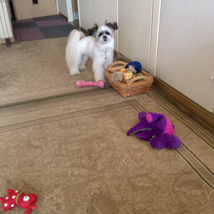 Bdfb6817 89ad 4fce 8067 6312a0bad980