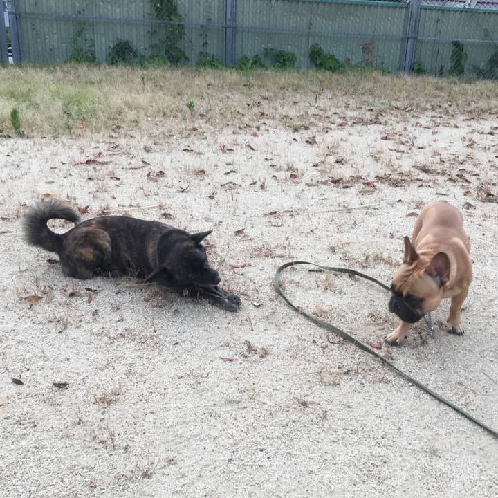 Bdfbf3a0 9766 4498 8955 4a9b800d852d