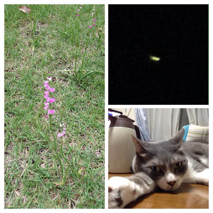 Bdfc2874 792f 4347 9893 041a61104f7b