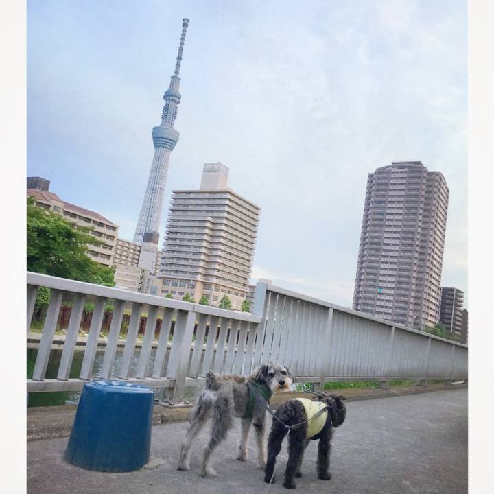 Bdfcedab 4e64 4864 b4d8 c2dbcb4c3554