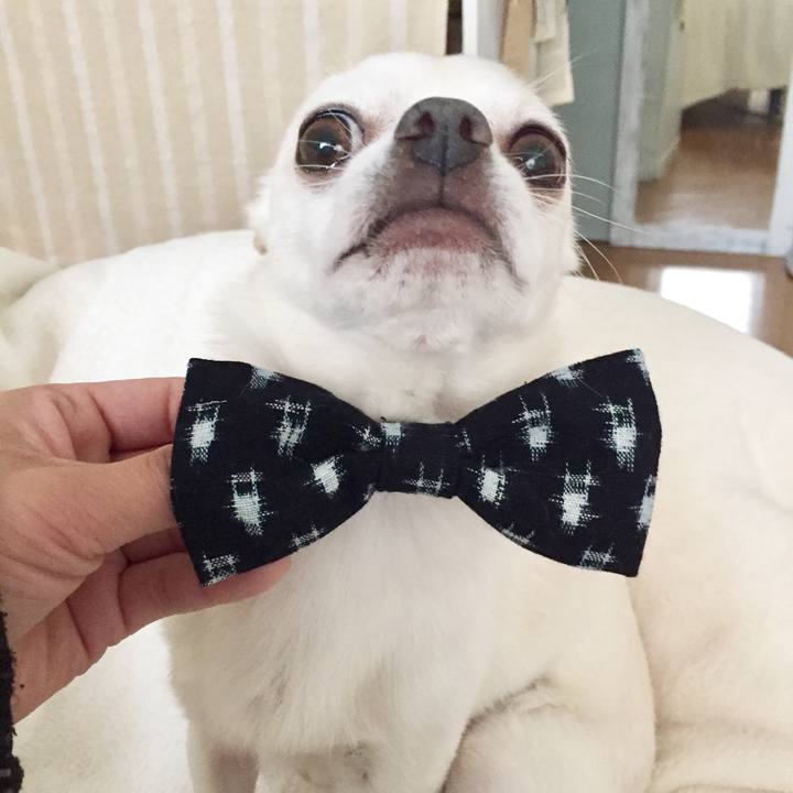 Bdfd4497 c2d1 43c0 834c c5b918aad92f