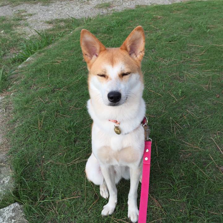 Bdfd777c 4d4b 4bac b2d5 169f806cf614