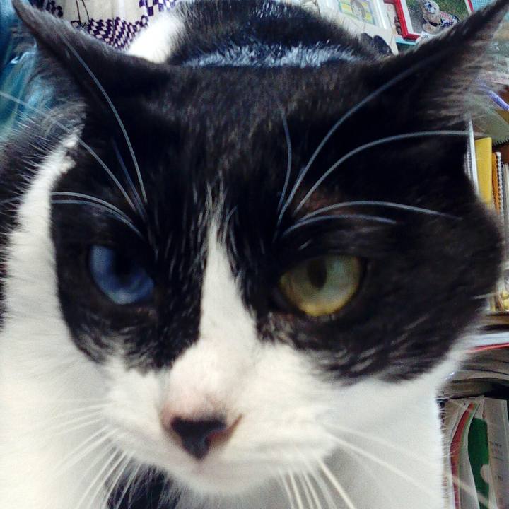 Bdfd9a55 91dc 48c4 ace3 c47217fa11f7