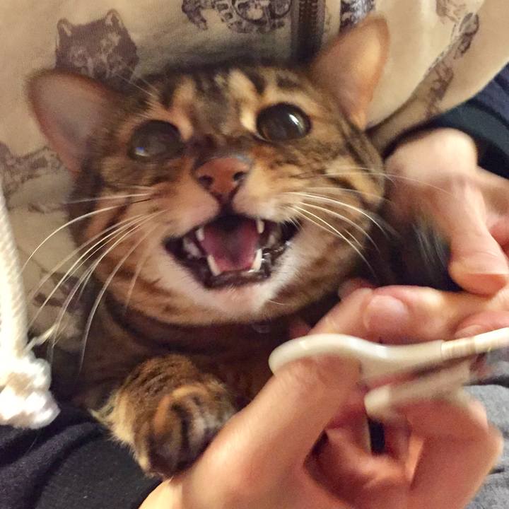 Bdfe327b 07d4 49d0 b417 202fe32244d3