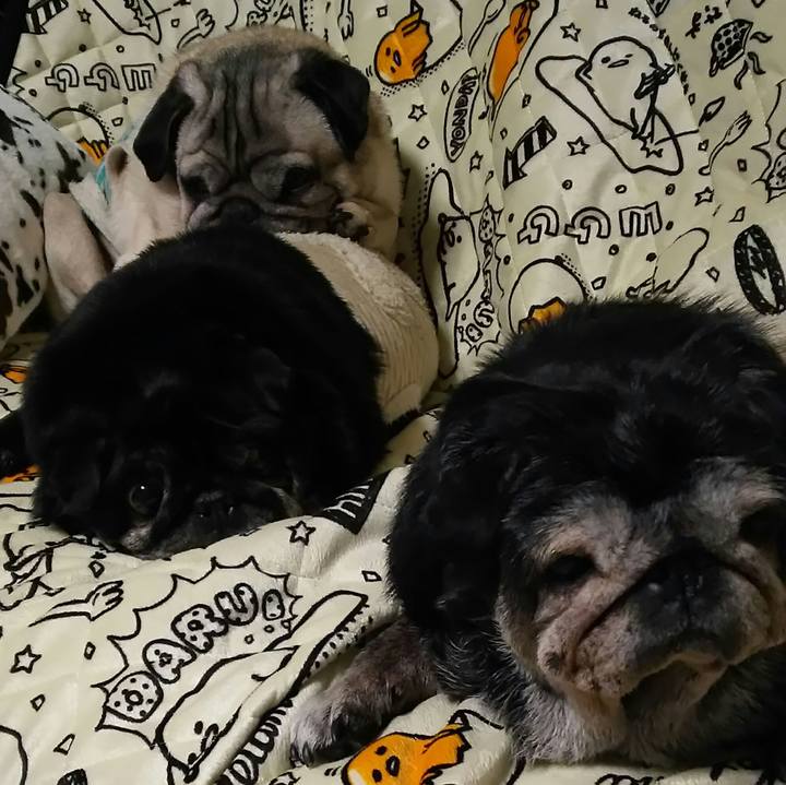 Bdfec73c 9702 4a46 86cd 91236317793f