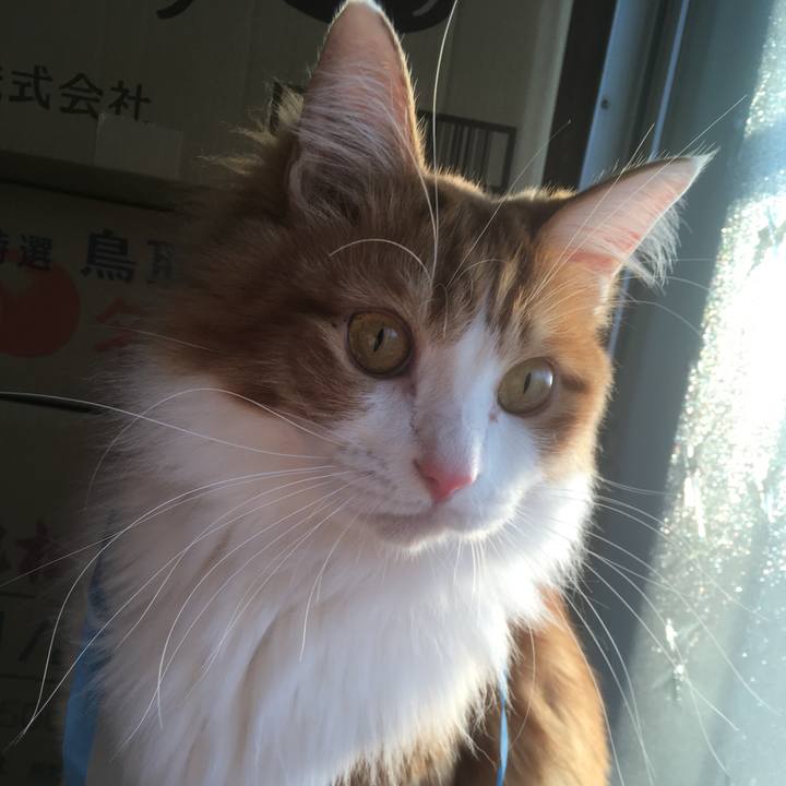 Bdff48b4 af20 4744 ad23 09b32204f7e3