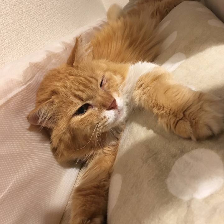 Bdff53a4 efcf 4076 bf2f 905a2fef09bf