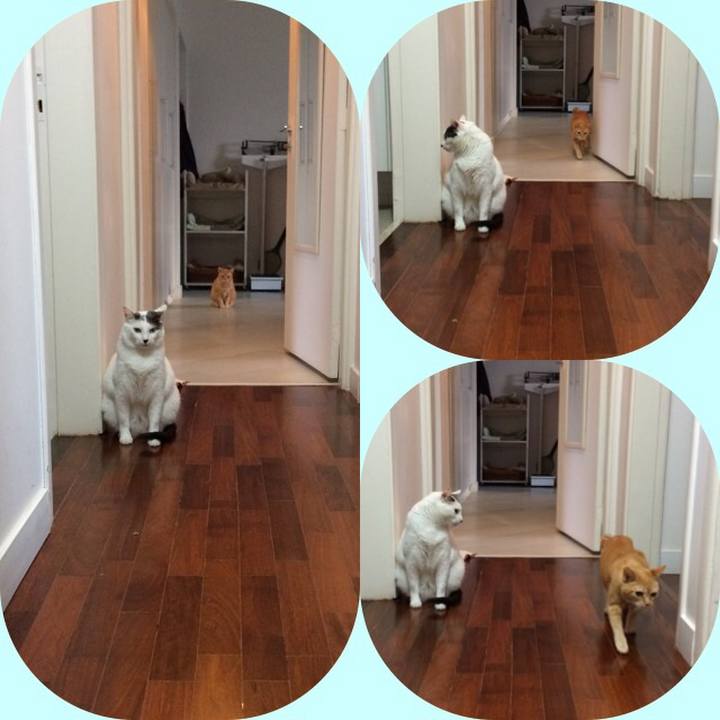 Bdffdebf 8049 4572 bbdf 04da567392f0