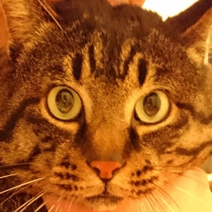 Be000e9c 8307 4603 bb39 4498855b5265