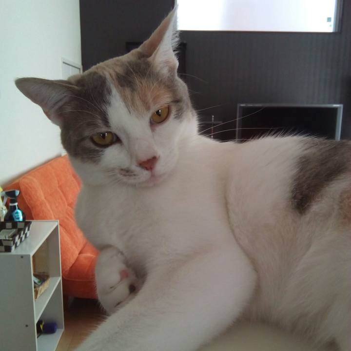 Be00c166 8df6 48a5 b10d a4a9b74348cd