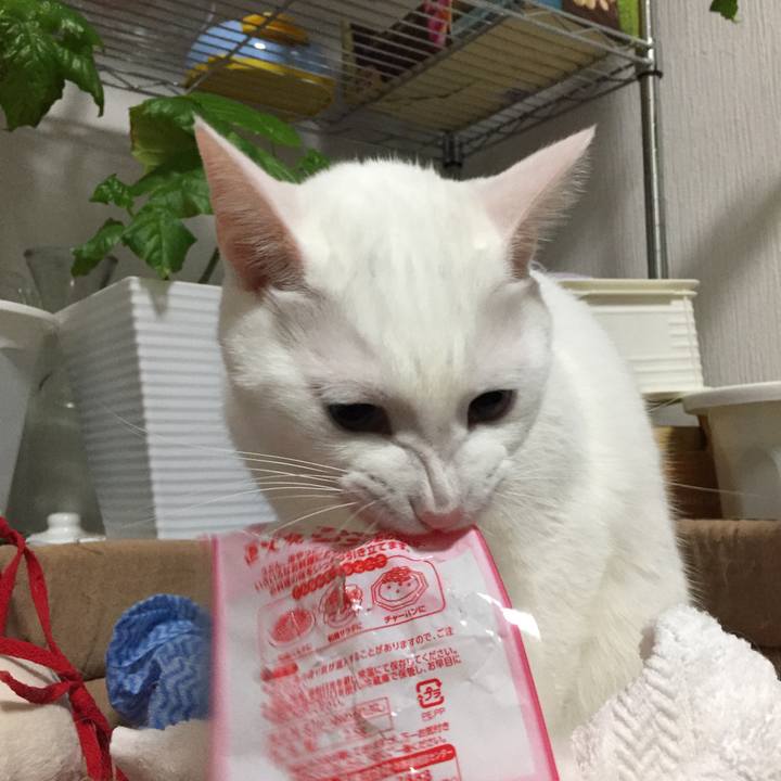 Be00fe23 b030 4f26 8791 1c2da098f782