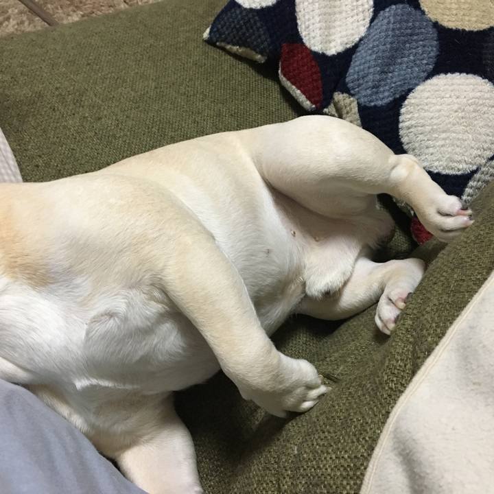 Be011385 3cdb 4f2f 9d4d e067e9f653de