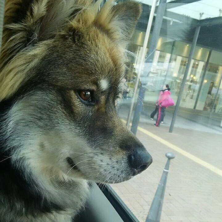 Be01b5a3 3fb9 4973 9669 f3d17735936f