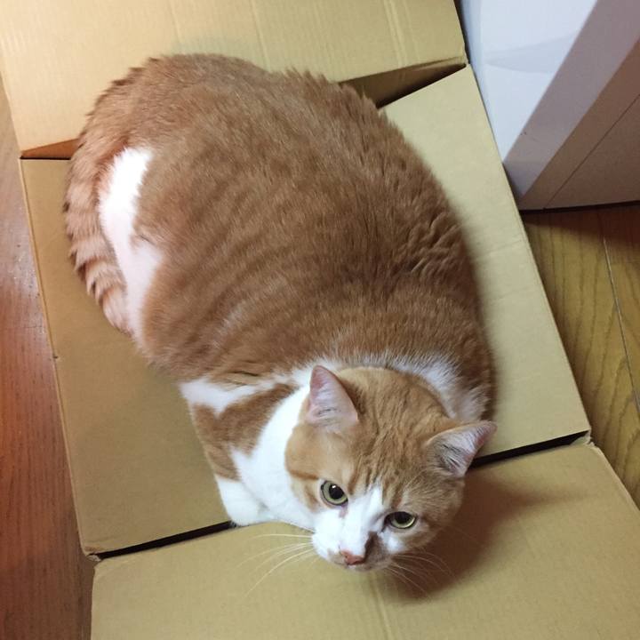 Be01cb9c 9eb0 4dbb 90dd 28a85abda039