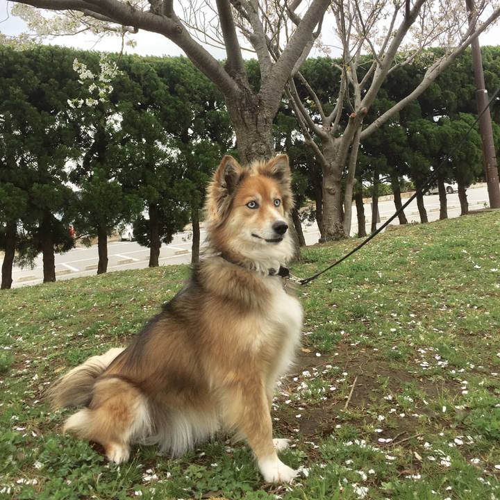 Be026c20 89f7 430f 84e6 86d9e185e22b