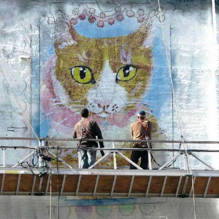 Be032b19 f296 498e 92d6 416156dae985