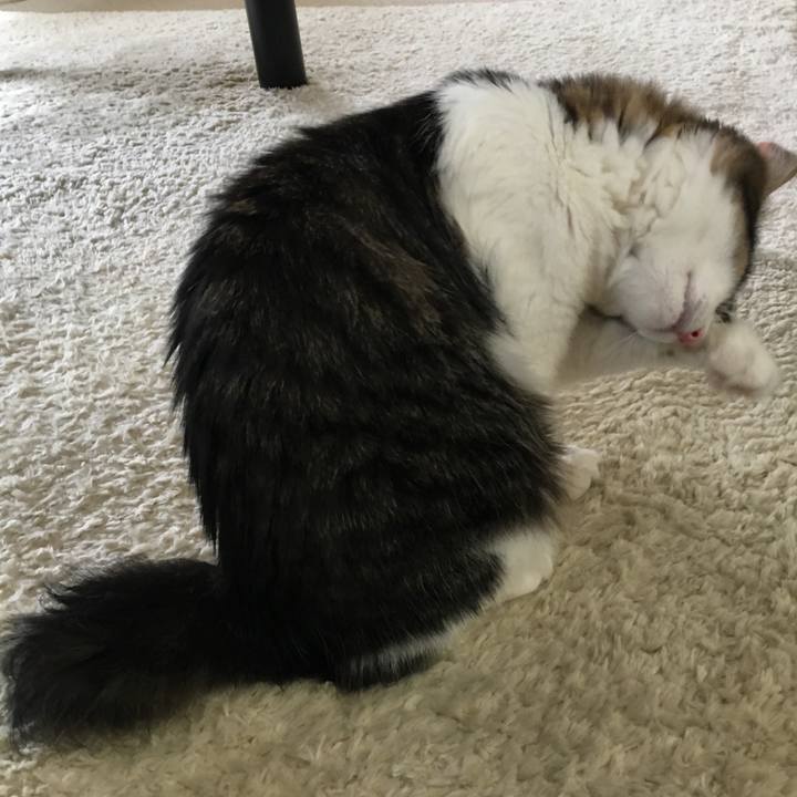 Be03529a 1059 4678 a256 59feded3c093