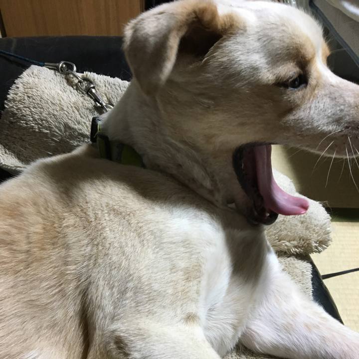 Be03cbbc a87f 4266 b583 9d5075df2a70