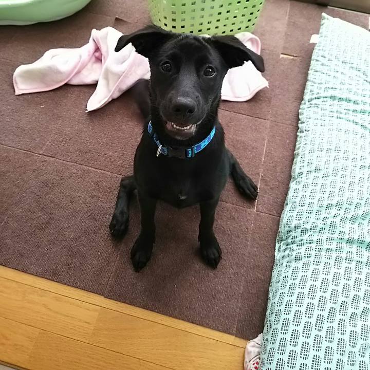 Be03d8de 7369 4b98 9cb2 0ae7070ea27b