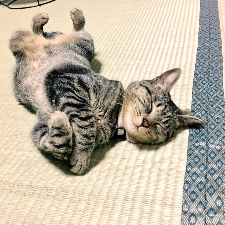 Be051bbc eeee 4282 9e68 cc872c6ed4e4