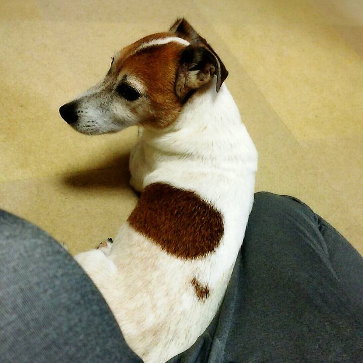 Be053be6 0068 4acf b938 0bdcdf8fbee7