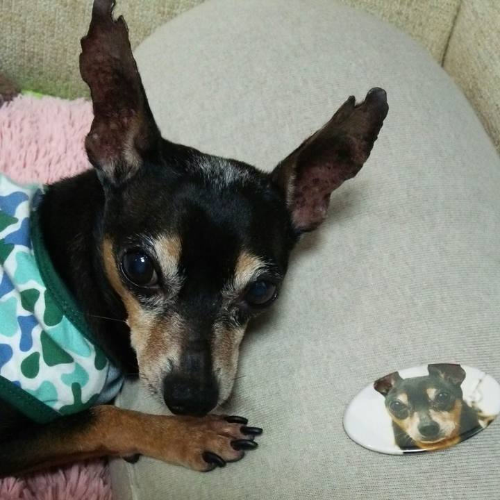 Be05b3bd 4ed3 43bb b0a3 01a6ba50e5ba