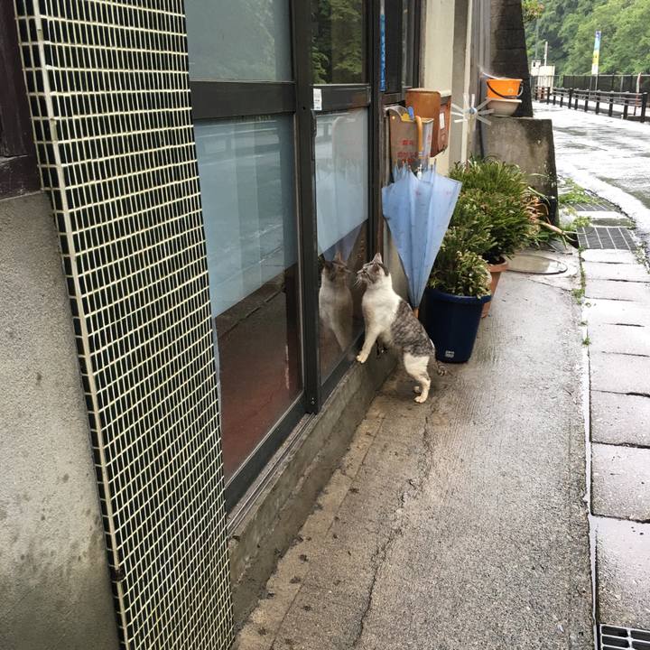 Be067b91 65c9 40ba a057 dea80b64599d