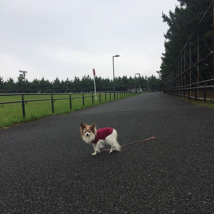 Be06c294 3a39 404d 95a2 0d79bdd3948c