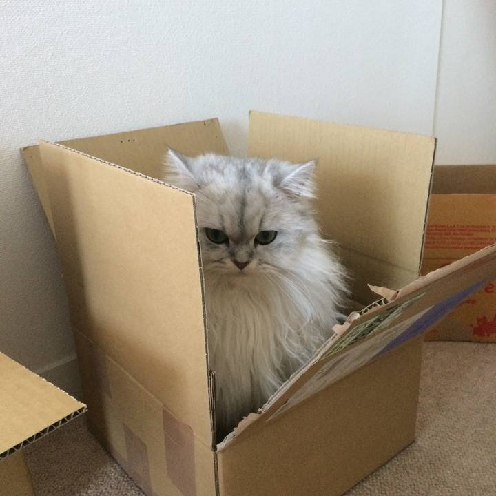 Be06cd73 9efd 45eb a9ec bf41f4e6be25