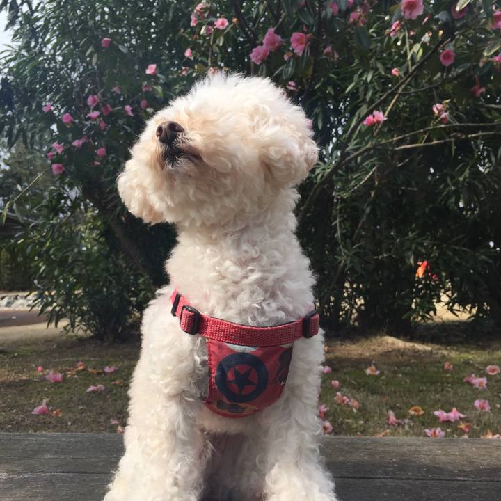 Be07bdaf 18ea 4055 aca2 616b70769efe