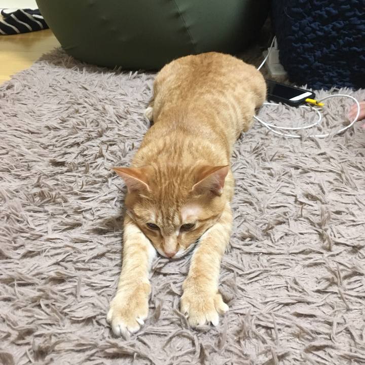 Be080ca9 1379 479c 888d 2811ec0b68a8