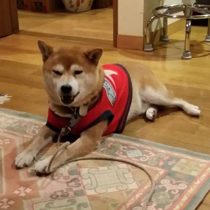 Be084443 a93c 4995 90de c5c9c81febd0