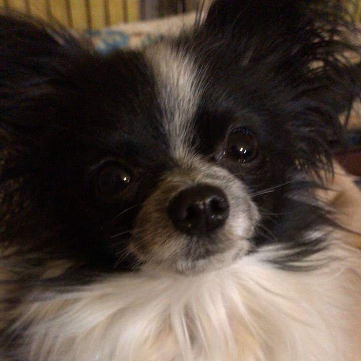 Be08e0db 73df 4ca2 9397 0bc34ad01e2b