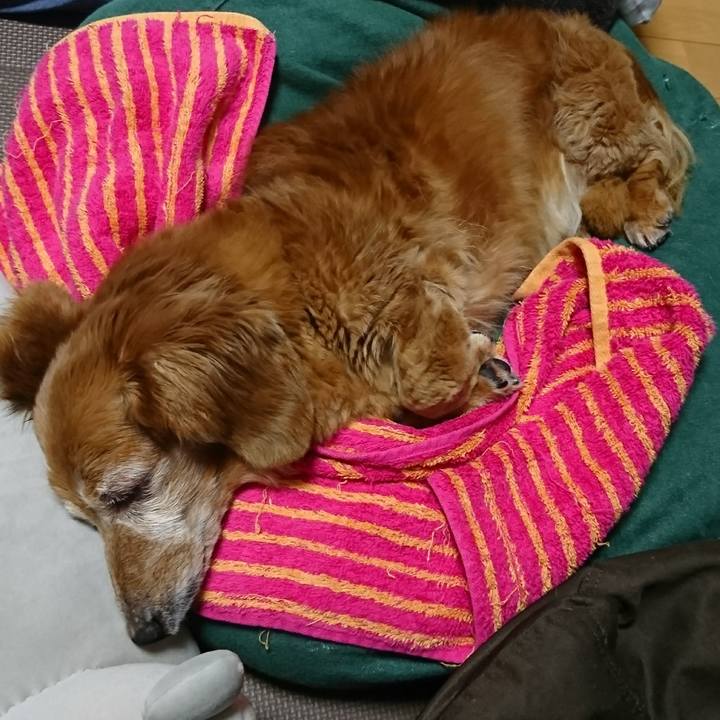 Be093de2 be69 470e b981 3283bde60527