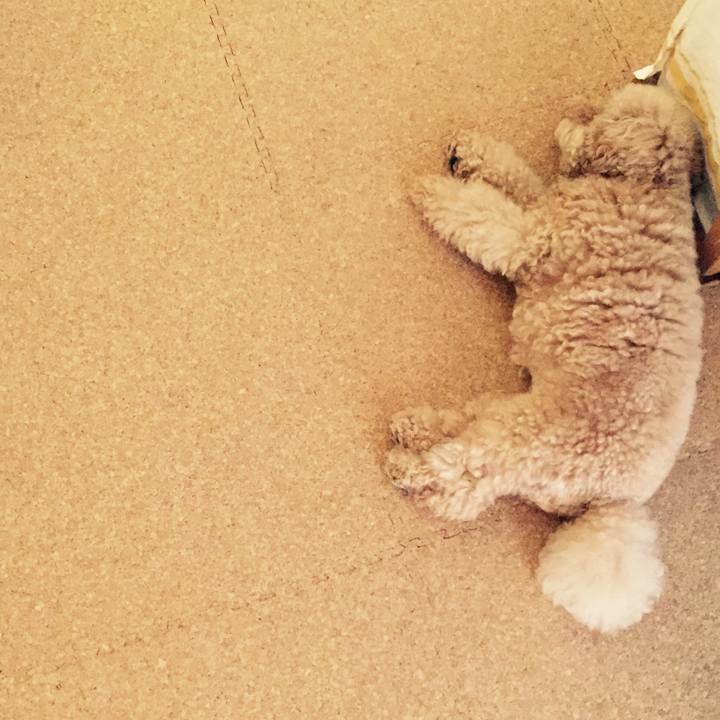 Be0950c4 c934 4ee5 a22c 8cc2d528f783