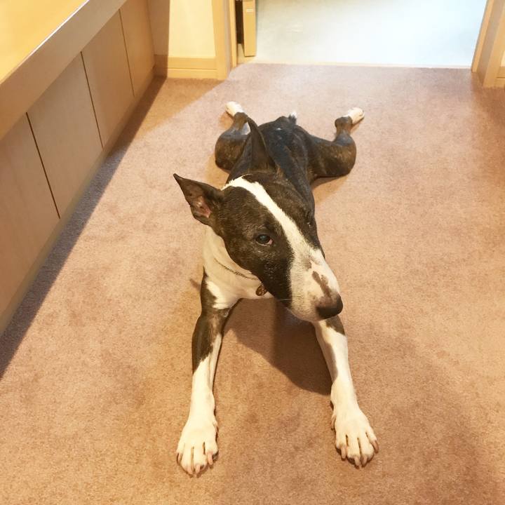 Be096c89 a207 4b64 b945 b162b2c585f9