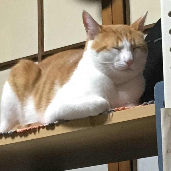 Be09f5c6 dd8d 4571 ae9c a3f567c61a2d