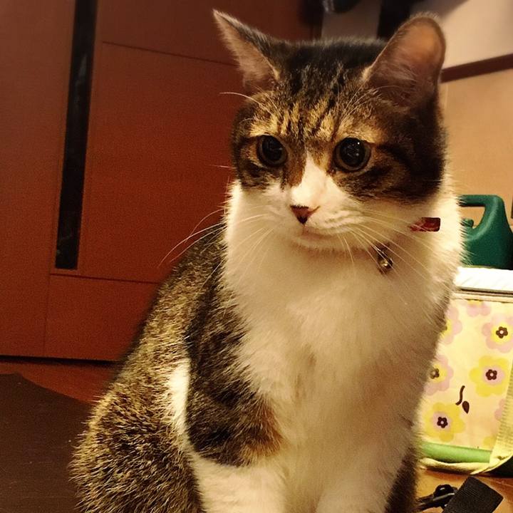 Be0a9d1c a948 4e32 98d2 8f84ffed7b6c