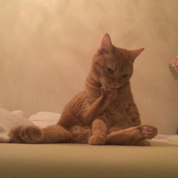 Be0b3379 07ac 43e9 9cfa 7c4705ad91d5