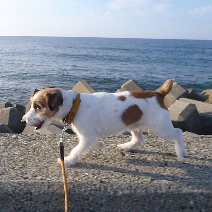 Be0bd25a 4fb1 447b 9cd2 42b75ac5340a