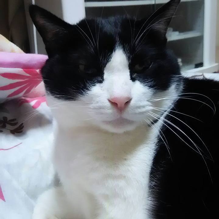 Be0c282b 0f5b 4f63 9a61 28e2e7582a00