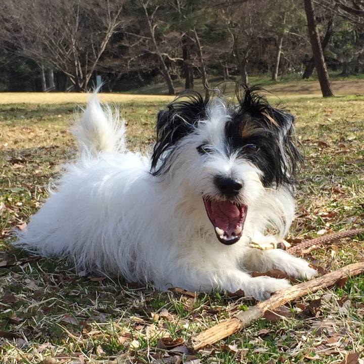 Be0d39cb 4551 4f2c 95fc 7db7b6db91b0