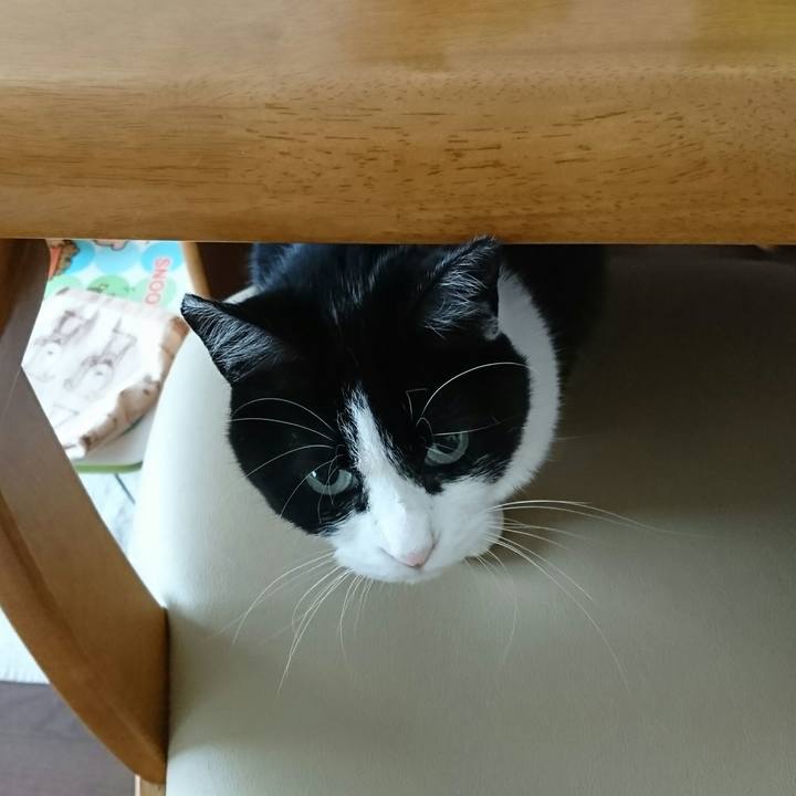 Be0dade7 88aa 4192 9930 280e5717584f