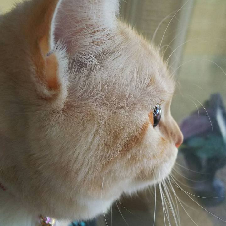 Be0ead7c ce7a 4f29 bea8 d9e6010c2339