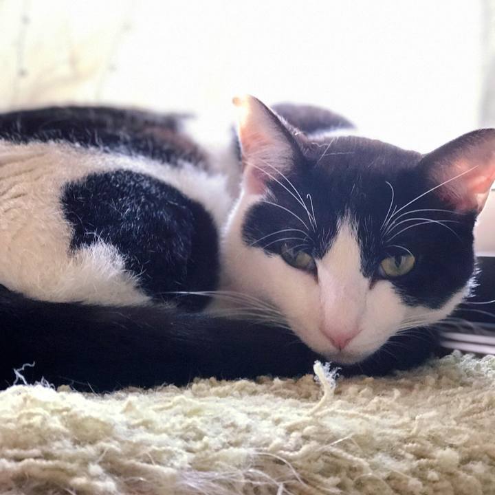 Be0ee704 0002 494e 91ca d00cb9ff92f6