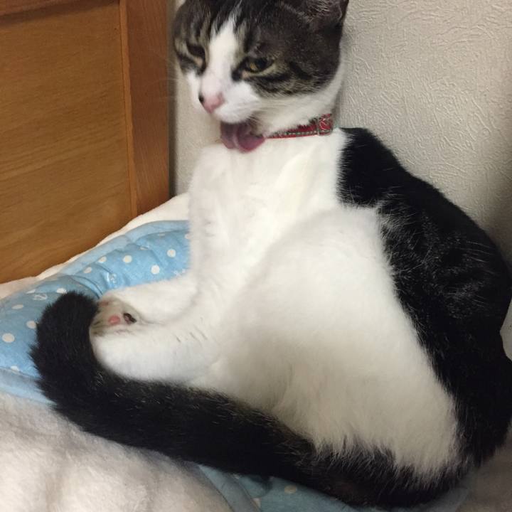 Be0ef86b 2385 4488 be94 49c280a18743