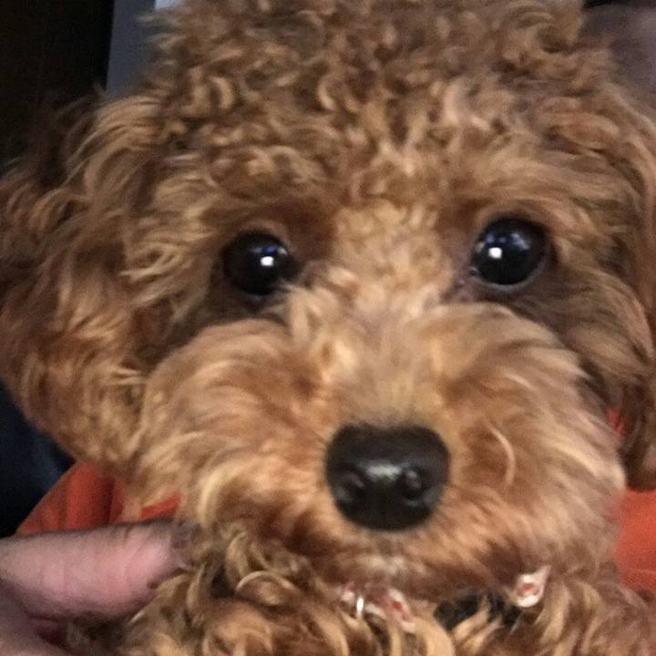 Be0f7686 881b 4b50 a1b1 dcac45fe9a00