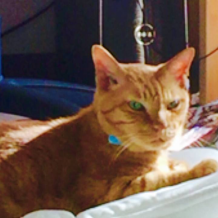 Be0f7c95 778e 4367 a0de 8675c45e3414